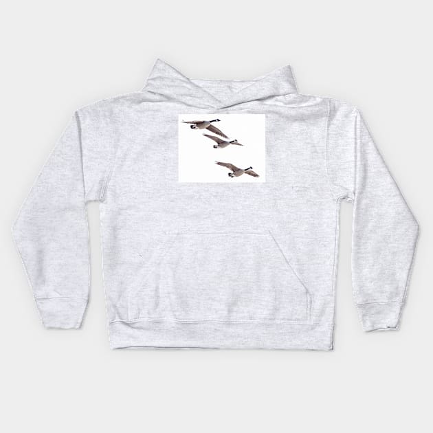 Canada geese in flight Kids Hoodie by fparisi753